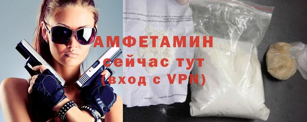 твердый Дмитров