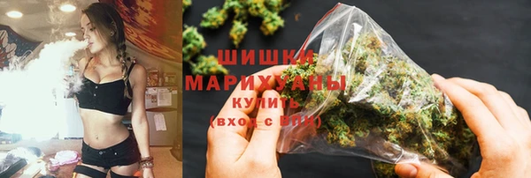 твердый Дмитров