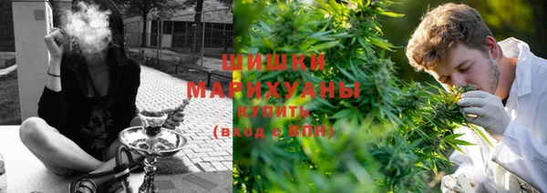 твердый Дмитров
