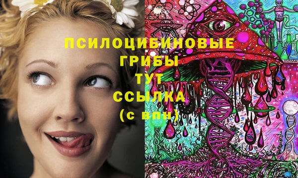 твердый Дмитров